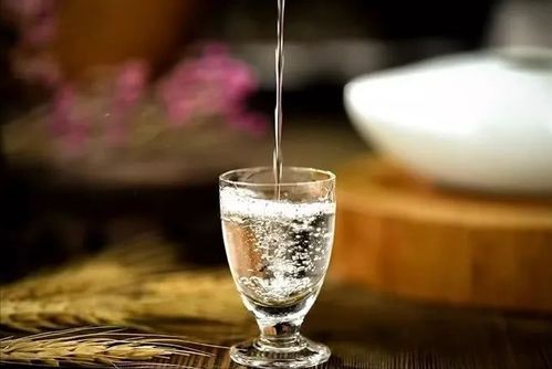 酒水代理商客户留存之道 从交易关系到价值共赢的四大核心策略